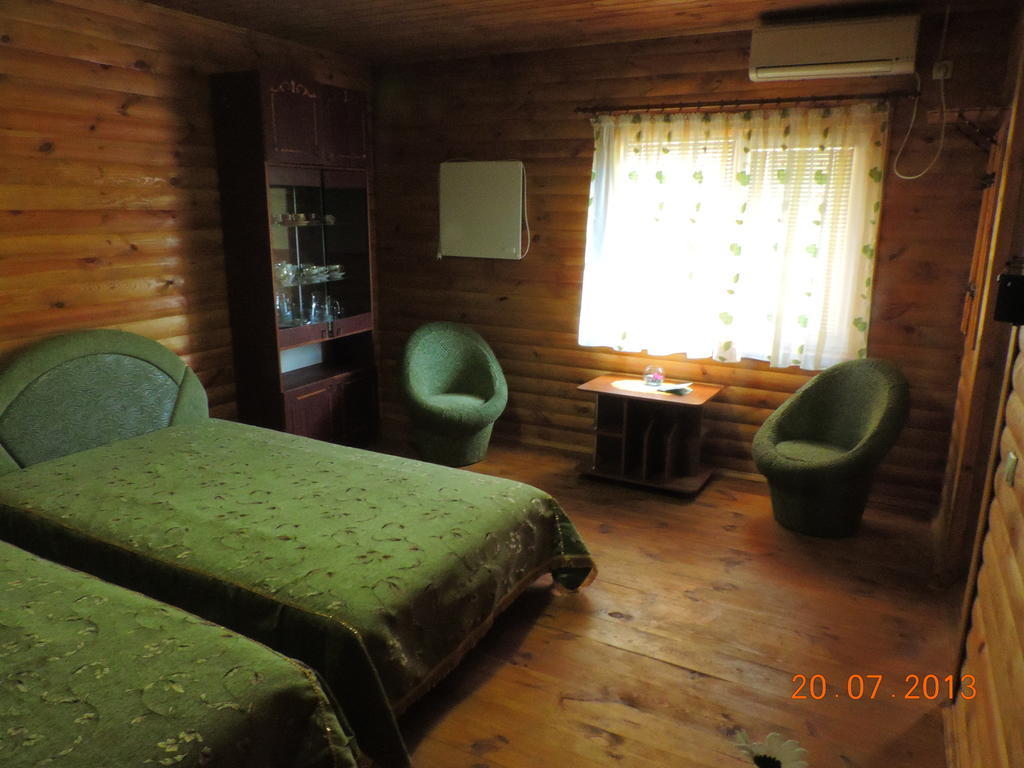 Slavutich Hotell Nova Kachovka Rum bild
